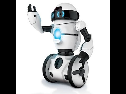 The Gesture Controlled