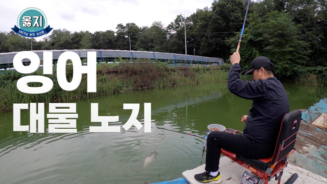 잉어가 쏟아지는 대물 터 '군포시 산장 낚시터'