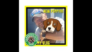 Eric&#39;s New Puppy Gets A Grand Welcome At Vagabond RV Base Camp!