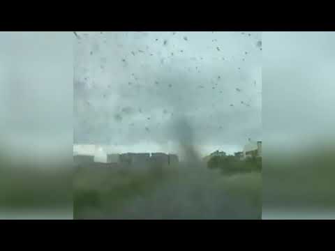 TORNADO de Mosquitos en la Península Rusa de Kamchatka 🌪️ Momento Exacto