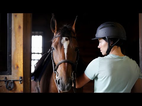 Video: Wat betekent het om een paard half te leasen?