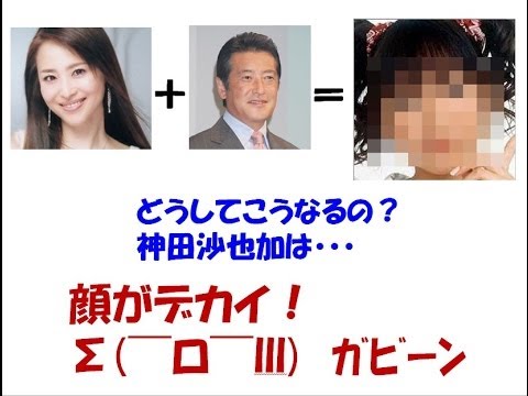 神田沙也加 顔　大きすぎる！顔が変化して行ってるけど整形かしら？