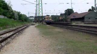 V43 2244