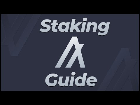 Panduan Staking Algorand