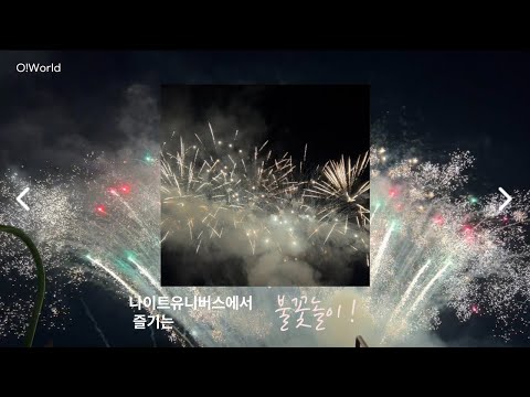 대전 오월드 나이트 유니버스 불꽃놀이