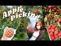 Apple Picking in Korea | an autumn day in my life in seoul vlog