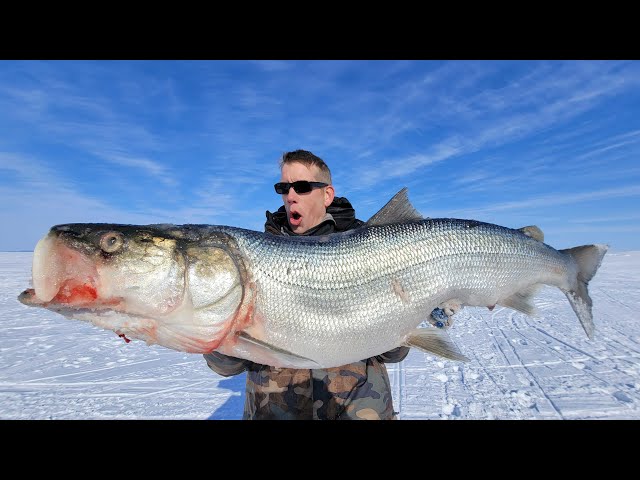 M's Big Sky Fishing Shirt