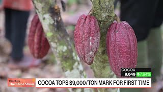 Cocoa Tops $9,000 For First Time Ever
