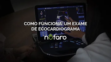 Como é feito o ecocardiograma em cães?