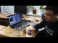 Micro:bit BBC и его практическое применение.