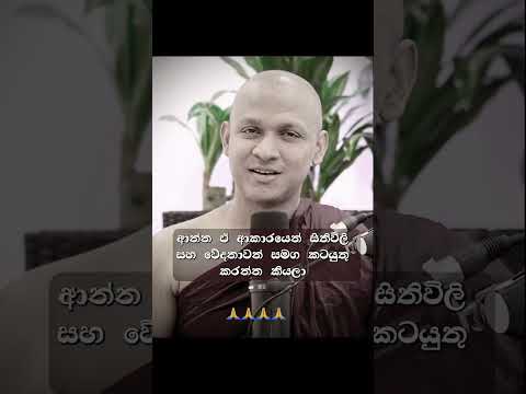 True Motivation Namobuddha Youtubevedio Shortvideo 