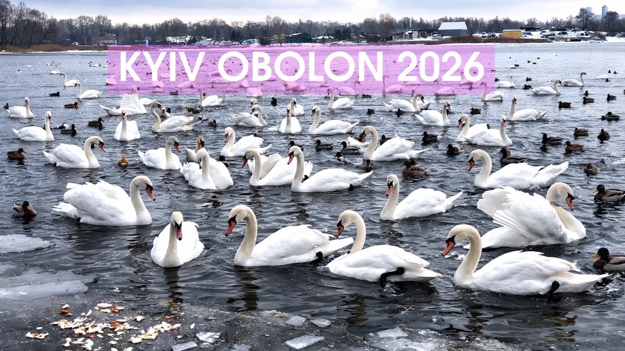 🔥 Kyiv Walking Tour 🇺🇦 Winter at Dnipro River | Hundreds of Swans | Obolon