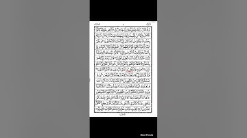 تلاوت سوره بقره از آیات ۳۰ الی ۳۷ #HASHIMI
