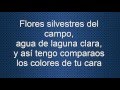 Camarón de la Isla- Rosa María (Letra)