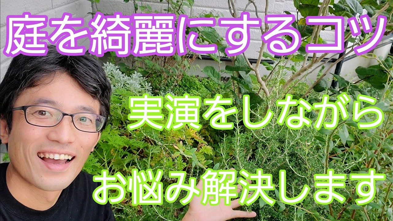 【庭の手入れ方法①】きれいに見せるコツを実演しながら解説します🌿👀