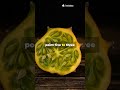 Hidden Tomato Boost (Buried in April) #naturalcropsandsoilhub #TomatoGrowing #CitrusRindGarden