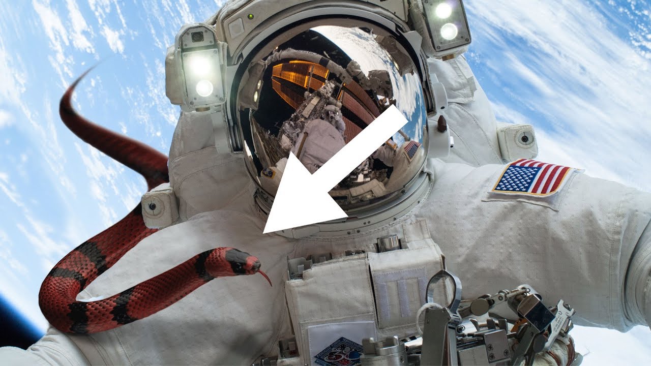 7 Terrifying REAL Things Happened In Space YouTube 7-terrifying-real-things-happened-in-space-youtube