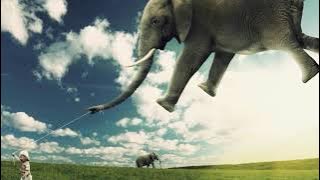 SÓ O FIM  -  CAMISA DE VÊNUS  -  (1986)