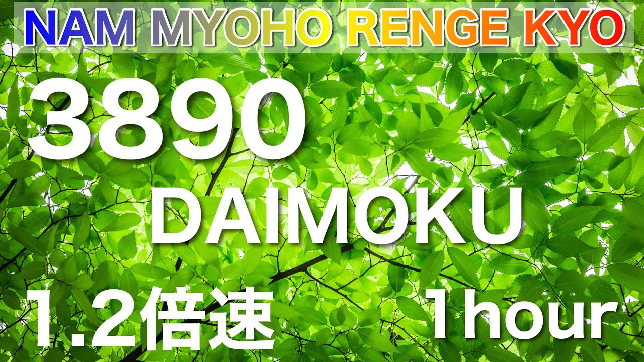 Chant with Sensei ×1.2倍速　池田先生とお題目 3890遍 1時間唱題 南無妙法蓮華経 ストップウォッチ　題目カウンター