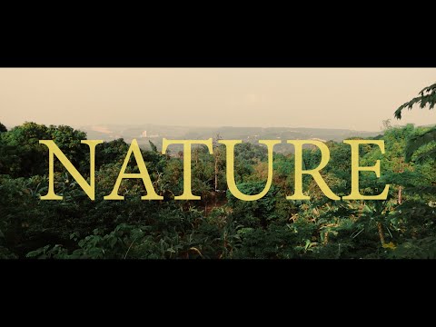 cinematic nature b-roll sequence | Sony ZV-1
