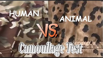 Camouflage effectiveness test: Muticam vs. dyed Jaguar print