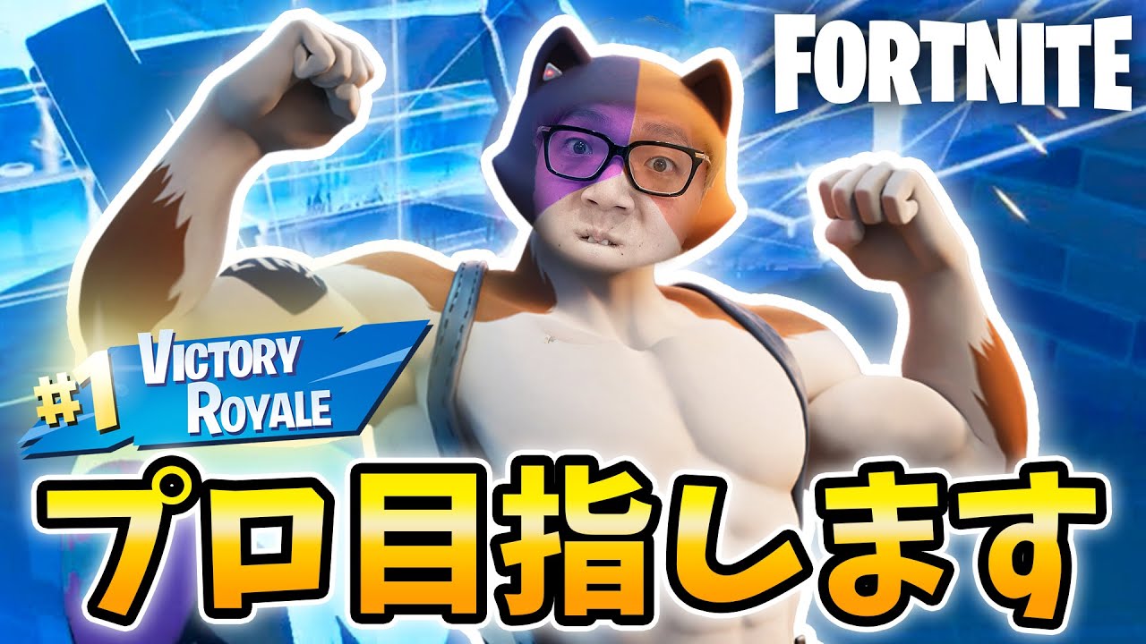 ヒカキン氏 初の正統派ビクロイ プロの道へ 自称 フォートナイト Fortnite Youtube