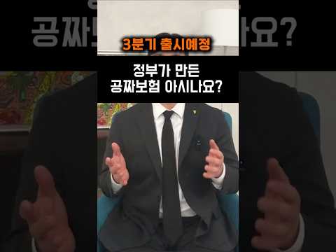 3분기 출시예정 정부가 만든 공짜보험 아시나요?