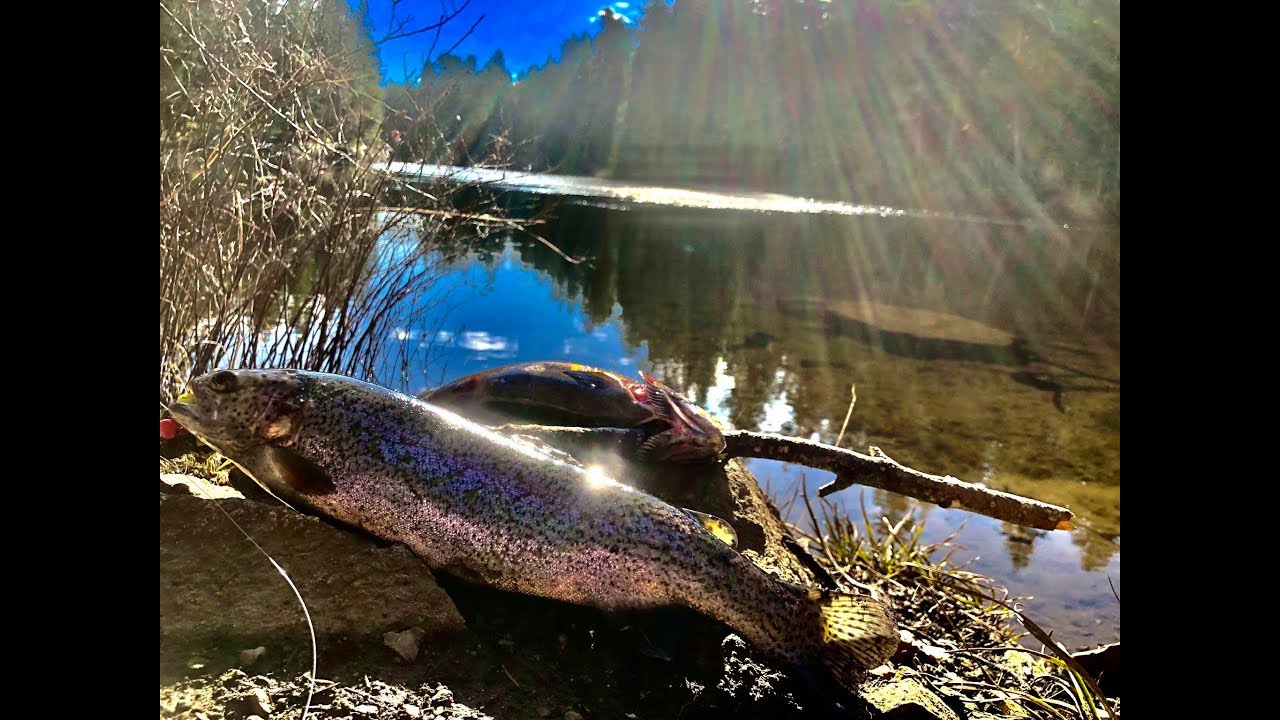 Spectacle lake trout fishing Vancouver island YouTube