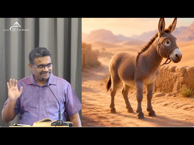 For Children: The Wise Donkey: STOP, LOOK, CHOOSE | Joseph Samuel