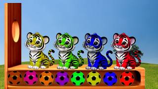 Learn Colors with Cute Tiger 🐯🌈 | Colors for Kids