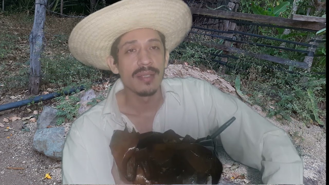 Cuento Pancho Madrigal - Don Ángelo el Matarife 🐷🐖 Video