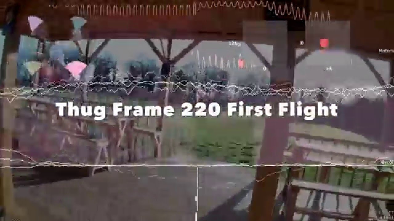 Thug 220 First flight & Crash