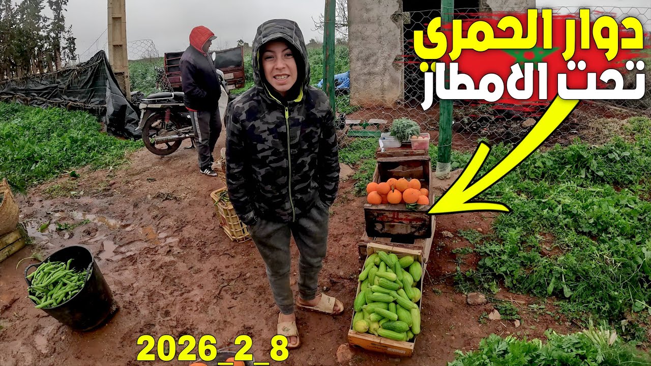 أمطار الخير بدوار الحمري طريق قابوياوا إقليم بركان 8_2_2026