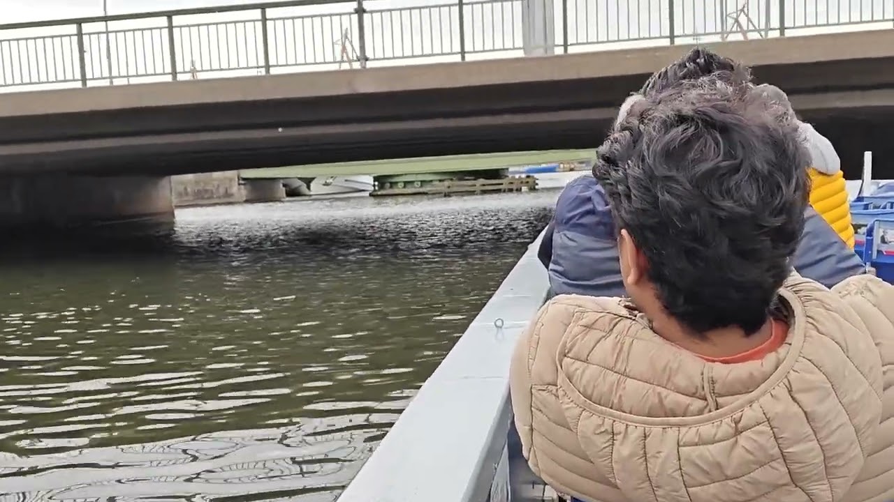 Gothenburg from the Water: A Paddan Boat Tour 😍 