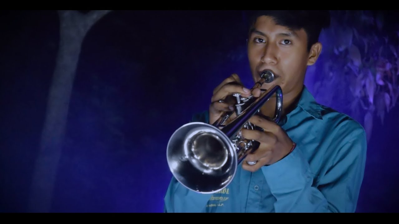 El Canario - Banda de viento Los Primos de Tixcuayuca (Video)