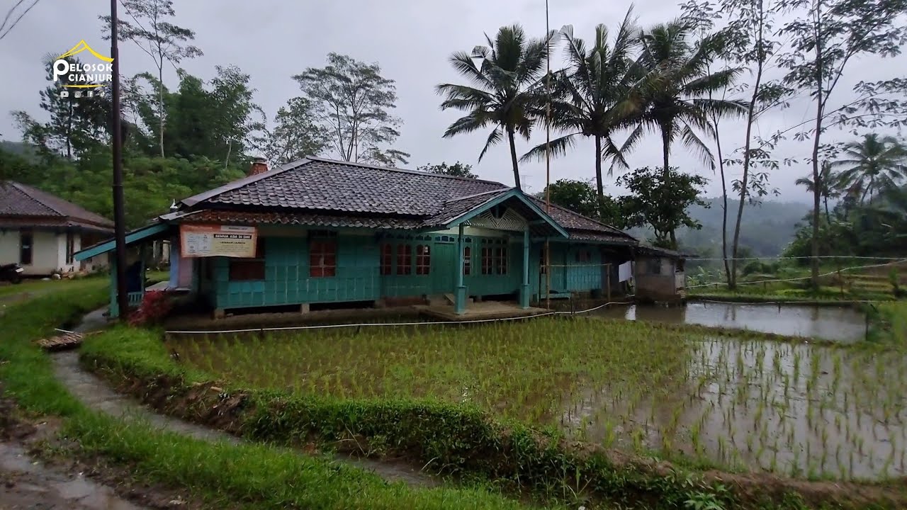 Rumah nenek di tengah-tengah pesawahan