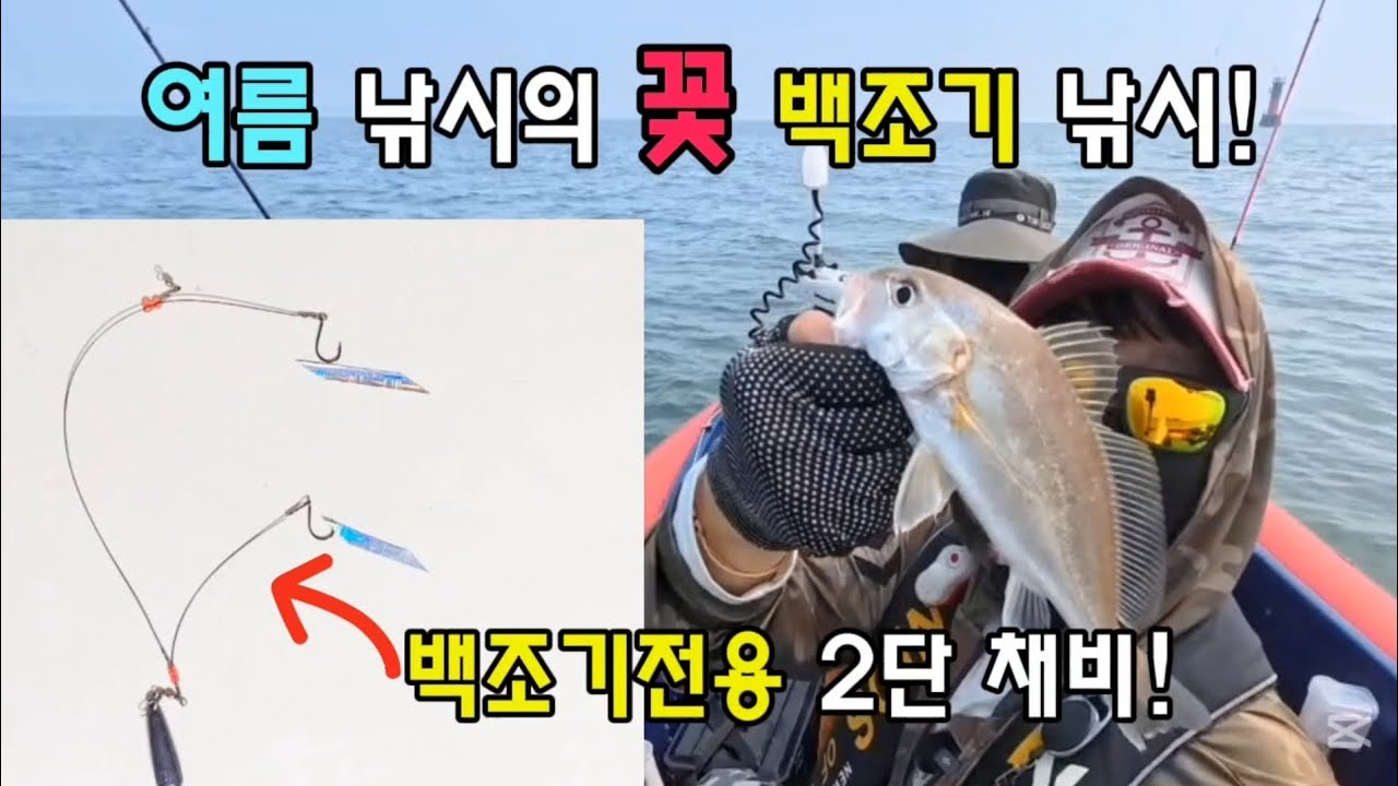 무더운 여름 낚시의 꽃 백조기 낚시! 이프로 백조기전용2단 채비로 손맛 많이 보세요.#백조기낚시 #백조기채비 - YouTube