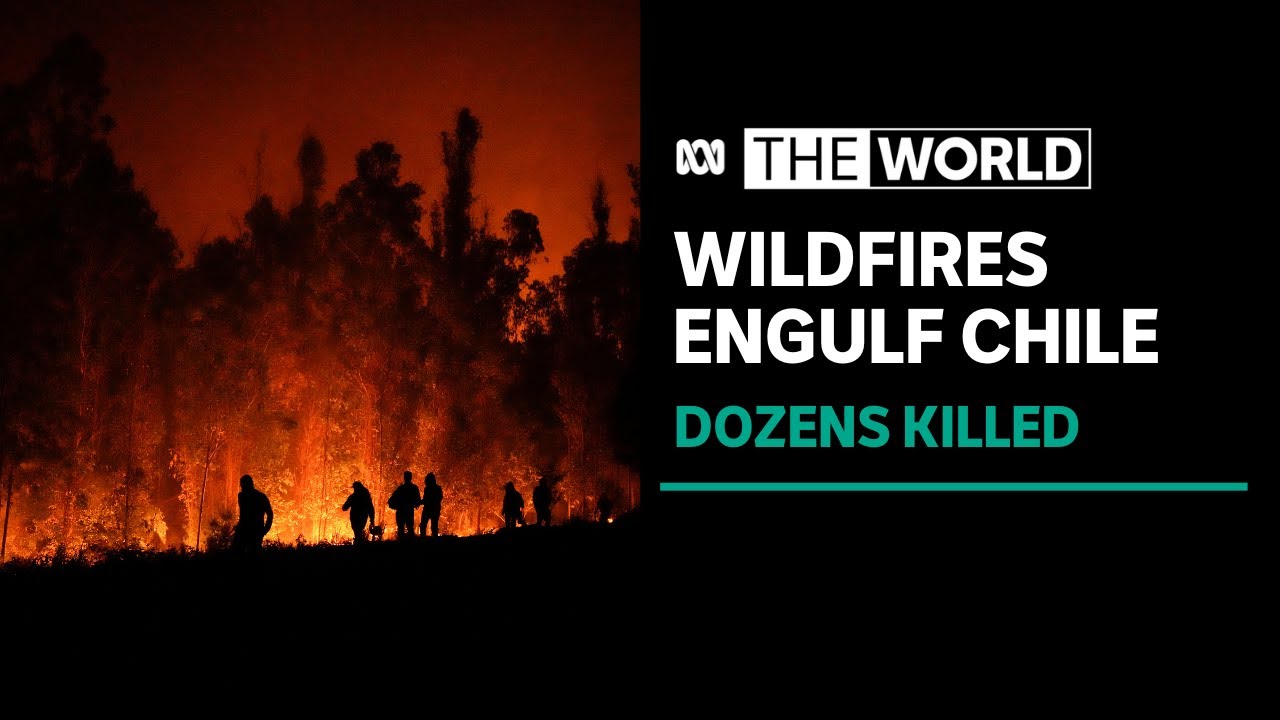 Dozens dead in Chile as wildfires spread, residents flee for safety | The World