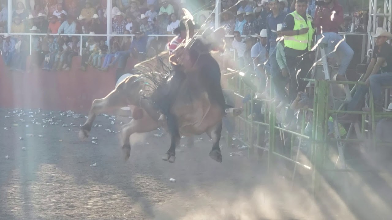 Jorge Rojas vs El Terror de Las Vegas de Rancho La Niña Blanca free fonts