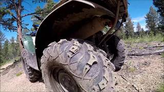Tusk Mud Force tire review