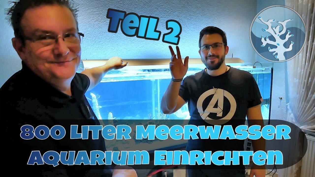 📢Wir bauen ein Meerwasser Aquarium ⭐Einrichtung 800 Liter Aquarium Teil