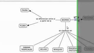 tutorial cmap parte 1 Net Worth