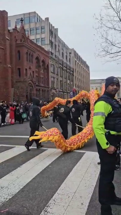 Lunar New Year Celebrations in DC February 2, 2025 YouTube