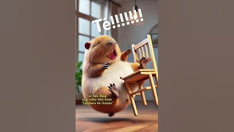 Bé Capybara buồn đến mức ngồi không nổi, té gãy ghế luôn 🪑🪑🪑#shorts #capybara #viralshorts