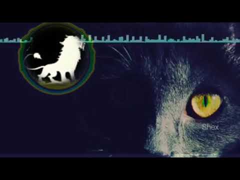 صوت الاسد الاغنية الروسية المشهورة على التيك توك REMIX