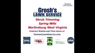Shrub Trimming Spring Mills Martinsburg West Virginia