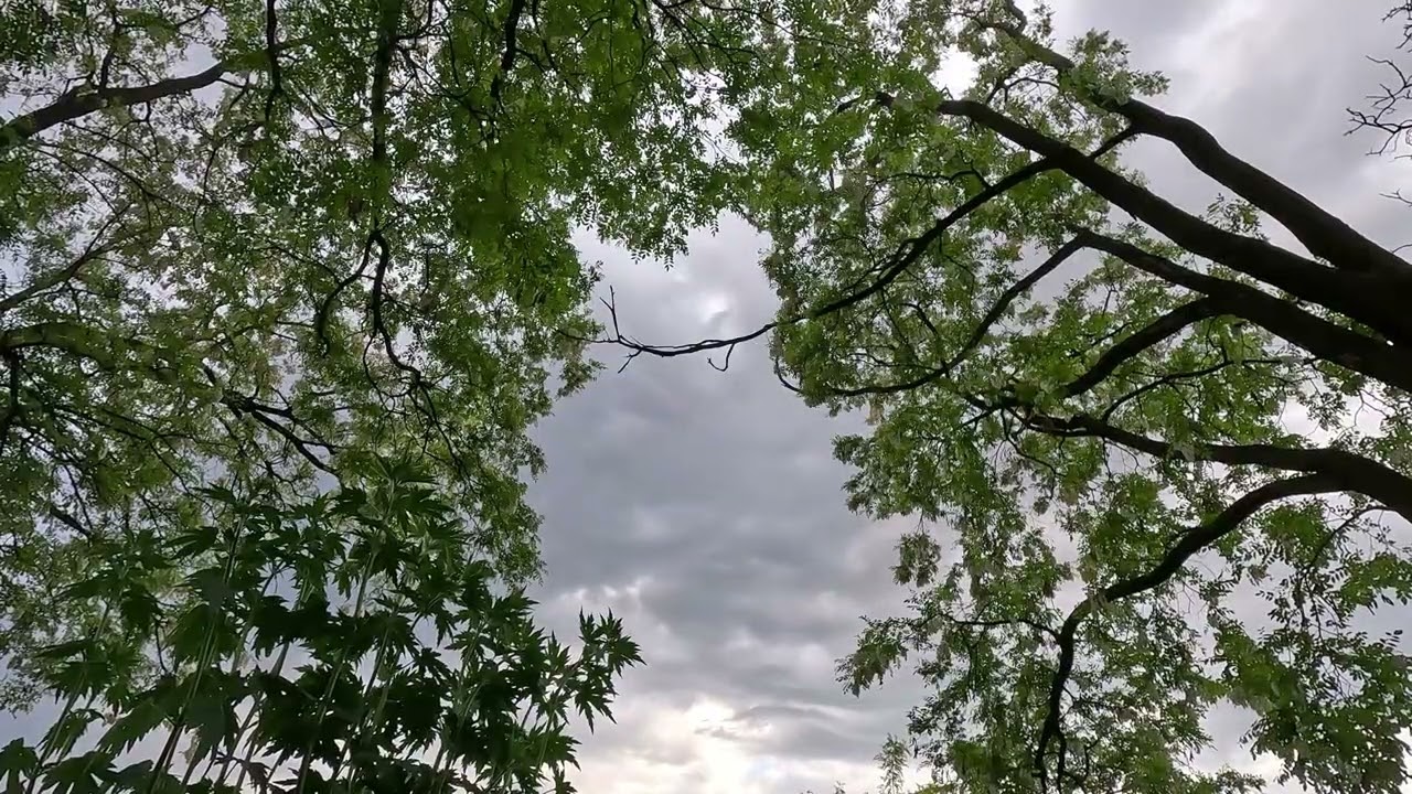 Cloudy Sky ☁️ Time Lapse 4K Free Footage Video | GoPro 11