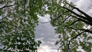 Cloudy Sky ☁️ Time Lapse 4K Free Footage Video | GoPro 11