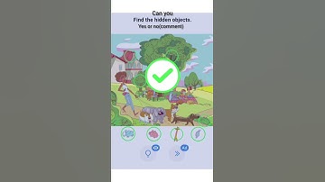 Can you find an hidden object ; let