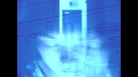 Trolleycat - NEW ROTATION (Official Video)